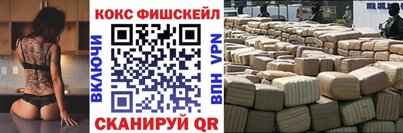 COCAIN Fish Scale  Дно 