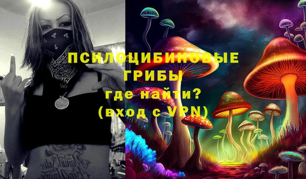 гашик Верхнеуральск