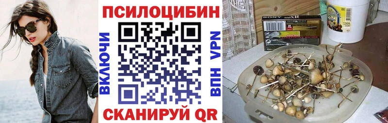 наркошоп  Дно  Галлюциногенные грибы мицелий 