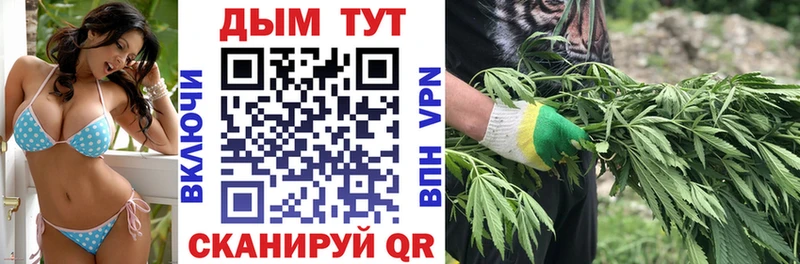 Шишки марихуана Bruce Banner  блэк спрут как войти  Дно 